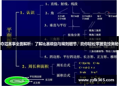 夺冠赛事全面解析：了解比赛级别与规则细节，助你轻松掌握竞技奥秘