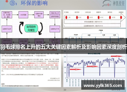 羽毛球排名上升的五大关键因素解析及影响因素深度剖析