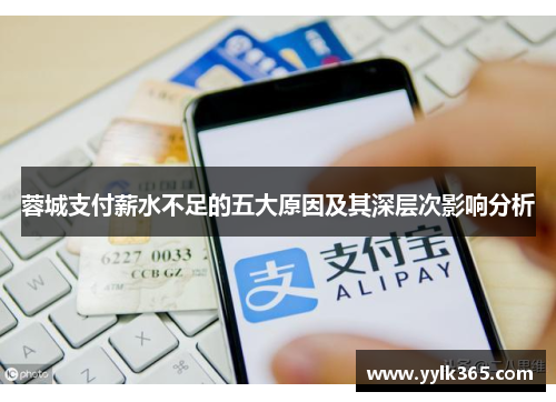 蓉城支付薪水不足的五大原因及其深层次影响分析 蓉城支付薪水不足的五大原因及其深层次影响分析