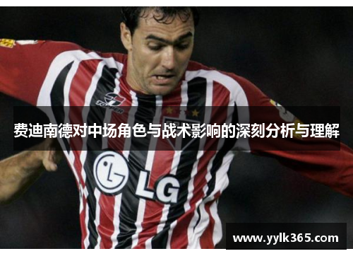 费迪南德对中场角色与战术影响的深刻分析与理解