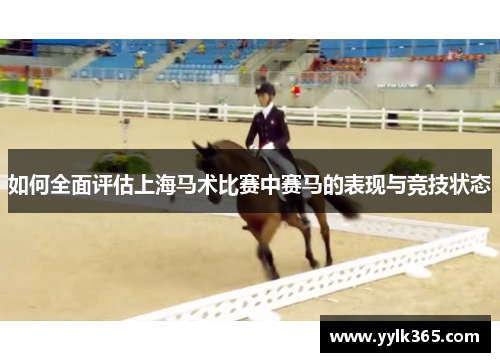 如何全面评估上海马术比赛中赛马的表现与竞技状态